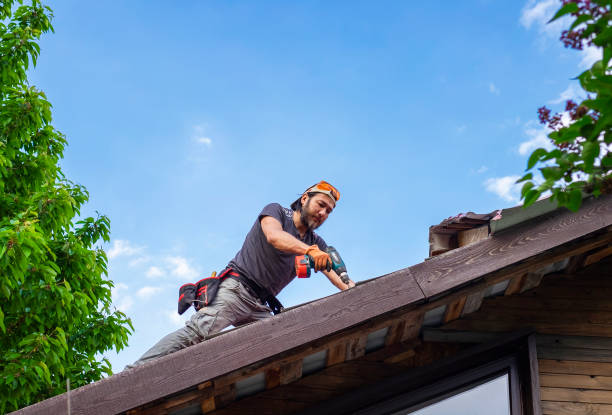 Best Asphalt Shingle Roofing  in Monticello, MS