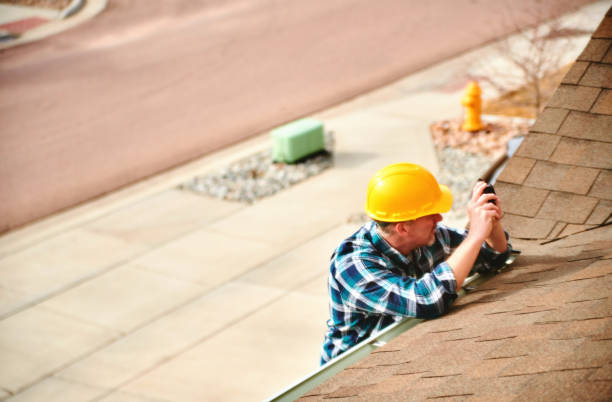 Best Roof Moss and Algae Removal  in Monticello, MS